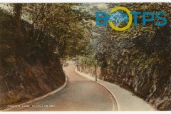 img266-Watermarked